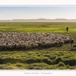 LeCrotoy_18_10_2014_0027-border