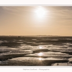 LeCrotoy_18_10_2014_0036-border