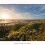 LeCrotoy_18_10_2014_0041-border