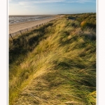 LeCrotoy_18_10_2014_0045-border