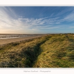 LeCrotoy_18_10_2014_0048-border