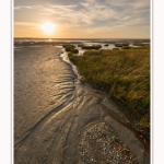 LeCrotoy_18_10_2014_0049-border