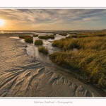 LeCrotoy_18_10_2014_0051-border