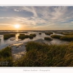 LeCrotoy_18_10_2014_0052-border