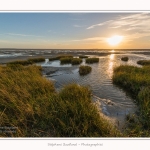 LeCrotoy_18_10_2014_0053-border