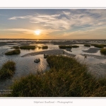 LeCrotoy_18_10_2014_0054-border
