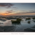 LeCrotoy_18_10_2014_0058-border