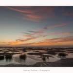 LeCrotoy_18_10_2014_0059-border