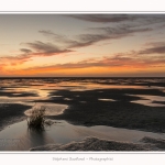 LeCrotoy_18_10_2014_0061-border