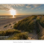 CrÃ©puscule sur la plage du Crotoy en Baie de Somme - saison : Ã©tÃ© - Lieu : Le Crotoy, Baie de Somme, Somme, Picardie, France.