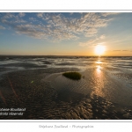 CrÃ©puscule sur la plage du Crotoy en Baie de Somme - saison : Ã©tÃ© - Lieu : Le Crotoy, Baie de Somme, Somme, Picardie, France.