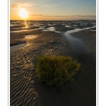 CrÃ©puscule sur la plage du Crotoy en Baie de Somme - saison : Ã©tÃ© - Lieu : Le Crotoy, Baie de Somme, Somme, Picardie, France.