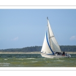 Les voiliers en baie de Somme