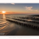 Quend_Plage_bouchots_Drone_24_06_2016_004-border