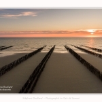 Quend_Plage_bouchots_Drone_24_06_2016_007-border