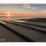 Quend_Plage_bouchots_Drone_24_06_2016_008-border