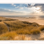 Les dunes du Marquenterre, entre Fort-Mahon et la Baie d'Authie. Saison : Hiver. Lieu : Fort-Mahon, Somme, Picardie, Hauts-de-France, France. The dunes of Marquenterre, between Fort-Mahon and the Bay of Authie. Season: Winter. Location: Fort-Mahon, Somme, Picardy, Hauts-de-France, France.