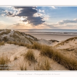 Les dunes du Marquenterre, entre Fort-Mahon et la Baie d'Authie. Saison : Hiver. Lieu : Fort-Mahon, Somme, Picardie, Hauts-de-France, France. The dunes of Marquenterre, between Fort-Mahon and the Bay of Authie. Season: Winter. Location: Fort-Mahon, Somme, Picardy, Hauts-de-France, France.