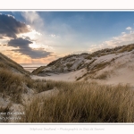 Les dunes du Marquenterre, entre Fort-Mahon et la Baie d'Authie. Saison : Hiver. Lieu : Fort-Mahon, Somme, Picardie, Hauts-de-France, France. The dunes of Marquenterre, between Fort-Mahon and the Bay of Authie. Season: Winter. Location: Fort-Mahon, Somme, Picardy, Hauts-de-France, France.