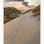 Les dunes du Marquenterre, entre Fort-Mahon et la Baie d'Authie. Saison : Hiver. Lieu : Fort-Mahon, Somme, Picardie, Hauts-de-France, France. The dunes of Marquenterre, between Fort-Mahon and the Bay of Authie. Season: Winter. Location: Fort-Mahon, Somme, Picardy, Hauts-de-France, France.