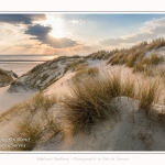 Les dunes du Marquenterre, entre Fort-Mahon et la Baie d'Authie. Saison : Hiver. Lieu : Fort-Mahon, Somme, Picardie, Hauts-de-France, France. The dunes of Marquenterre, between Fort-Mahon and the Bay of Authie. Season: Winter. Location: Fort-Mahon, Somme, Picardy, Hauts-de-France, France.