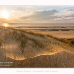 Les dunes du Marquenterre, entre Fort-Mahon et la Baie d'Authie. Saison : Hiver. Lieu : Fort-Mahon, Somme, Picardie, Hauts-de-France, France. The dunes of Marquenterre, between Fort-Mahon and the Bay of Authie. Season: Winter. Location: Fort-Mahon, Somme, Picardy, Hauts-de-France, France.