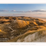 Les dunes du Marquenterre, entre Fort-Mahon et la Baie d'Authie. Saison : Hiver. Lieu : Fort-Mahon, Somme, Picardie, Hauts-de-France, France. The dunes of Marquenterre, between Fort-Mahon and the Bay of Authie. Season: Winter. Location: Fort-Mahon, Somme, Picardy, Hauts-de-France, France.