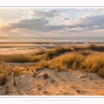 Les dunes du Marquenterre, entre Fort-Mahon et la Baie d'Authie. Saison : Hiver. Lieu : Fort-Mahon, Somme, Picardie, Hauts-de-France, France. The dunes of Marquenterre, between Fort-Mahon and the Bay of Authie. Season: Winter. Location: Fort-Mahon, Somme, Picardy, Hauts-de-France, France.