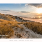 Les dunes du Marquenterre, entre Fort-Mahon et la Baie d'Authie. Saison : Hiver. Lieu : Fort-Mahon, Somme, Picardie, Hauts-de-France, France. The dunes of Marquenterre, between Fort-Mahon and the Bay of Authie. Season: Winter. Location: Fort-Mahon, Somme, Picardy, Hauts-de-France, France.