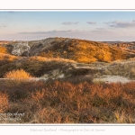 Les dunes du Marquenterre, entre Fort-Mahon et la Baie d'Authie. Saison : Hiver. Lieu : Fort-Mahon, Somme, Picardie, Hauts-de-France, France. The dunes of Marquenterre, between Fort-Mahon and the Bay of Authie. Season: Winter. Location: Fort-Mahon, Somme, Picardy, Hauts-de-France, France.