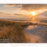 Les dunes du Marquenterre, entre Fort-Mahon et la Baie d'Authie. Saison : Hiver. Lieu : Fort-Mahon, Somme, Picardie, Hauts-de-France, France. The dunes of Marquenterre, between Fort-Mahon and the Bay of Authie. Season: Winter. Location: Fort-Mahon, Somme, Picardy, Hauts-de-France, France.