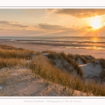 Les dunes du Marquenterre, entre Fort-Mahon et la Baie d'Authie. Saison : Hiver. Lieu : Fort-Mahon, Somme, Picardie, Hauts-de-France, France. The dunes of Marquenterre, between Fort-Mahon and the Bay of Authie. Season: Winter. Location: Fort-Mahon, Somme, Picardy, Hauts-de-France, France.