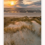 Les dunes du Marquenterre, entre Fort-Mahon et la Baie d'Authie. Saison : Hiver. Lieu : Fort-Mahon, Somme, Picardie, Hauts-de-France, France. The dunes of Marquenterre, between Fort-Mahon and the Bay of Authie. Season: Winter. Location: Fort-Mahon, Somme, Picardy, Hauts-de-France, France.