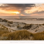 Les dunes du Marquenterre, entre Fort-Mahon et la Baie d'Authie. Saison : Hiver. Lieu : Fort-Mahon, Somme, Picardie, Hauts-de-France, France. The dunes of Marquenterre, between Fort-Mahon and the Bay of Authie. Season: Winter. Location: Fort-Mahon, Somme, Picardy, Hauts-de-France, France.