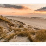 Les dunes du Marquenterre, entre Fort-Mahon et la Baie d'Authie. Saison : Hiver. Lieu : Fort-Mahon, Somme, Picardie, Hauts-de-France, France. The dunes of Marquenterre, between Fort-Mahon and the Bay of Authie. Season: Winter. Location: Fort-Mahon, Somme, Picardy, Hauts-de-France, France.