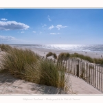 Dunes_Quend_Plage_18_04_2017_001-border