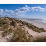 Dunes_Quend_Plage_18_04_2017_006-border