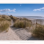 Dunes_Quend_Plage_18_04_2017_009-border