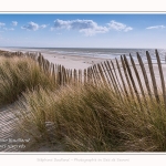 Dunes_Quend_Plage_18_04_2017_011-border