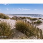 Dunes_Quend_Plage_18_04_2017_012-border