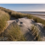 Dunes_Quend_Plage_18_04_2017_018-border