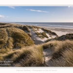 Dunes_Quend_Plage_18_04_2017_024-border