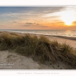Les dunes et la plage de Quend-Plage, en hiver. Saison : Hiver - Lieu : Quend-Plage, Somme, Picardie, Hauts-de-France, France. The dunes and beach of Quend-Plage, in winter. Season: Winter - Location: Quend-Plage, Somme, Picardy, Hauts-de-France, France.
