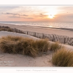 Les dunes et la plage de Quend-Plage, en hiver. Saison : Hiver - Lieu : Quend-Plage, Somme, Picardie, Hauts-de-France, France. The dunes and beach of Quend-Plage, in winter. Season: Winter - Location: Quend-Plage, Somme, Picardy, Hauts-de-France, France.