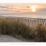 Les dunes et la plage de Quend-Plage, en hiver. Saison : Hiver - Lieu : Quend-Plage, Somme, Picardie, Hauts-de-France, France. The dunes and beach of Quend-Plage, in winter. Season: Winter - Location: Quend-Plage, Somme, Picardy, Hauts-de-France, France.