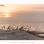 Les dunes et la plage de Quend-Plage, en hiver. Saison : Hiver - Lieu : Quend-Plage, Somme, Picardie, Hauts-de-France, France. The dunes and beach of Quend-Plage, in winter. Season: Winter - Location: Quend-Plage, Somme, Picardy, Hauts-de-France, France.