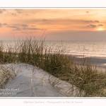 Les dunes et la plage de Quend-Plage, en hiver. Saison : Hiver - Lieu : Quend-Plage, Somme, Picardie, Hauts-de-France, France. The dunes and beach of Quend-Plage, in winter. Season: Winter - Location: Quend-Plage, Somme, Picardy, Hauts-de-France, France.