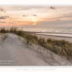 Les dunes et la plage de Quend-Plage, en hiver. Saison : Hiver - Lieu : Quend-Plage, Somme, Picardie, Hauts-de-France, France. The dunes and beach of Quend-Plage, in winter. Season: Winter - Location: Quend-Plage, Somme, Picardy, Hauts-de-France, France.