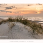 Les dunes et la plage de Quend-Plage, en hiver. Saison : Hiver - Lieu : Quend-Plage, Somme, Picardie, Hauts-de-France, France. The dunes and beach of Quend-Plage, in winter. Season: Winter - Location: Quend-Plage, Somme, Picardy, Hauts-de-France, France.