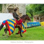 Eaucourt_Spectacle_chevalerie_0007-border